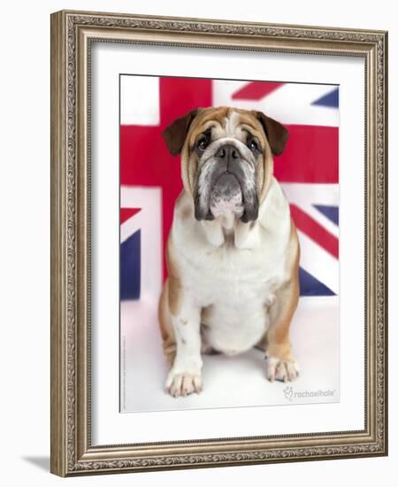 George-Rachael Hale-Framed Photographic Print