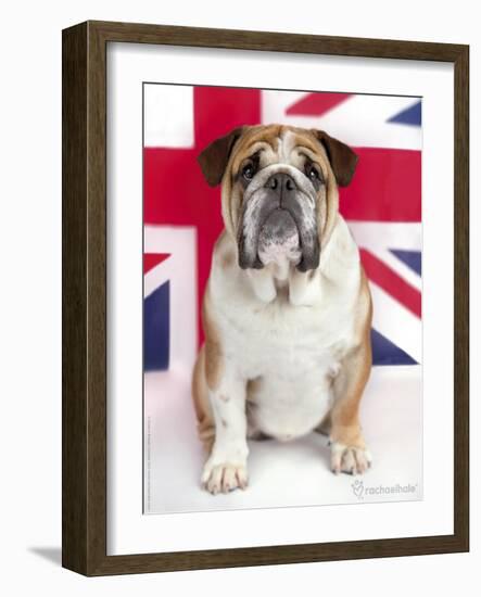 George-Rachael Hale-Framed Photographic Print