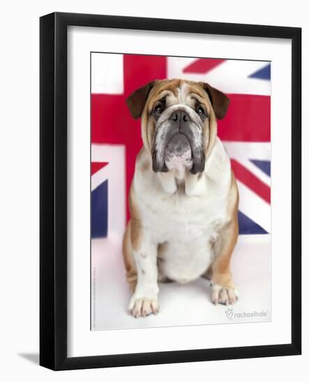 George-Rachael Hale-Framed Photographic Print