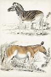 Journal of Natural History V-Georges Cuvier-Framed Art Print
