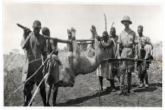 Lion at Bahr El Ghazal, Am Dafok, 1925-Georges-Marie Haardt-Mounted Giclee Print