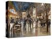Stretched Canvas Print