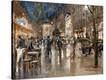 Stretched Canvas Print