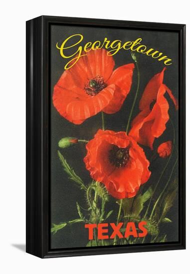 Georgetown, Texas - Corn Poppy Flowers-Lantern Press-Framed Stretched Canvas