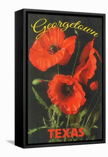 Georgetown, Texas - Corn Poppy Flowers-Lantern Press-Framed Stretched Canvas