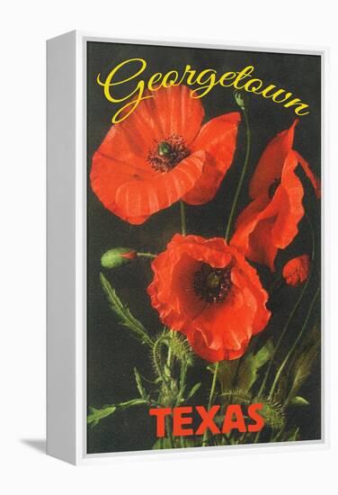 Georgetown, Texas - Corn Poppy Flowers-Lantern Press-Framed Stretched Canvas