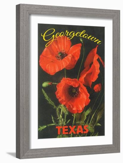 Georgetown, Texas - Corn Poppy Flowers-Lantern Press-Framed Art Print