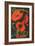 Georgetown, Texas - Corn Poppy Flowers-Lantern Press-Framed Art Print