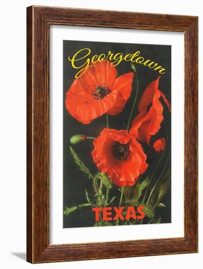 Georgetown, Texas - Corn Poppy Flowers-Lantern Press-Framed Art Print