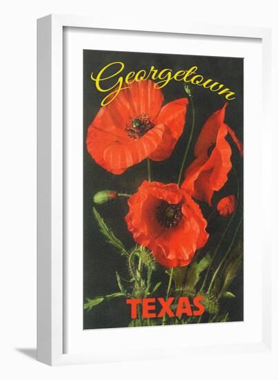 Georgetown, Texas - Corn Poppy Flowers-Lantern Press-Framed Art Print