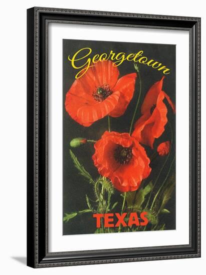 Georgetown, Texas - Corn Poppy Flowers-Lantern Press-Framed Art Print