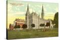 Stretched Canvas Print