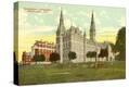 Stretched Canvas Print