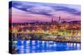 Stretched Canvas Print