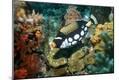Premium Photographic Print