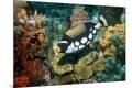 Premium Photographic Print