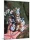 Photographic Print