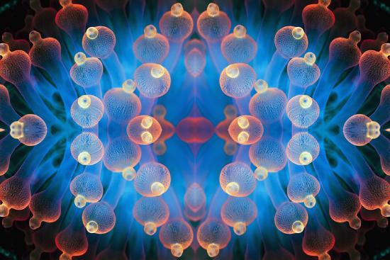 Photographic Print, , large