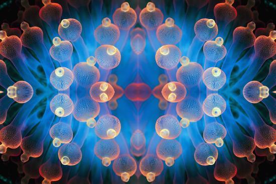 Photographic Print, , large