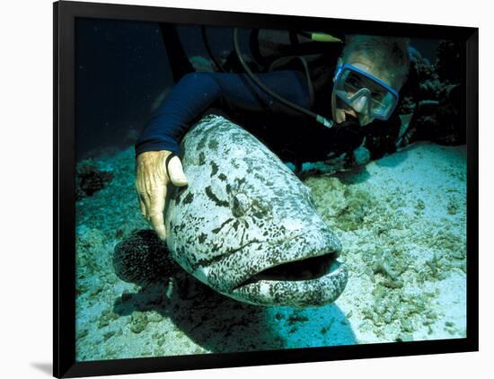 Photographic Print, , large