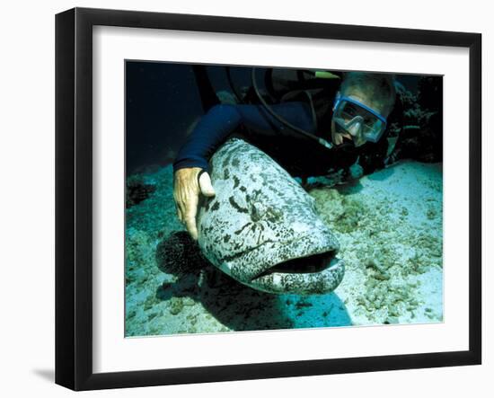 Photographic Print, , large