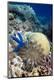 Premium Photographic Print