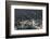 Georgia, Atlanta, Centennial Olympic Park, Elevated City View at Dusk-Walter Bibikow-Framed Photographic Print