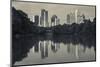 Georgia, Atlanta, City Skyline from Piedmont Park-Walter Bibikow-Mounted Photographic Print