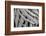 Georgia, Batumi. A Close-Up of Folded Grown Branches-Alida Latham-Framed Photographic Print