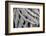 Georgia, Batumi. A Close-Up of Folded Grown Branches-Alida Latham-Framed Photographic Print