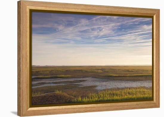 Georgia, Brunswick, Dawn View Along the Brunswick River Marshes-Walter Bibikow-Framed Premier Image Canvas