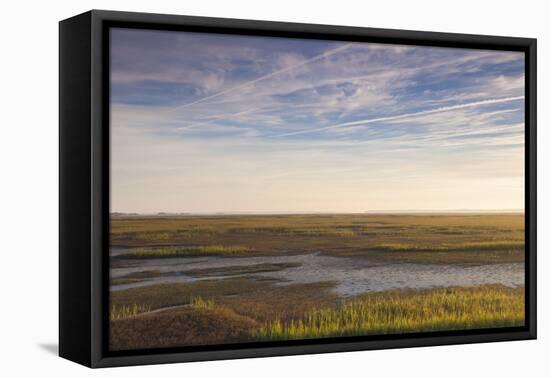 Georgia, Brunswick, Dawn View Along the Brunswick River Marshes-Walter Bibikow-Framed Premier Image Canvas
