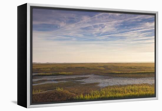 Georgia, Brunswick, Dawn View Along the Brunswick River Marshes-Walter Bibikow-Framed Premier Image Canvas