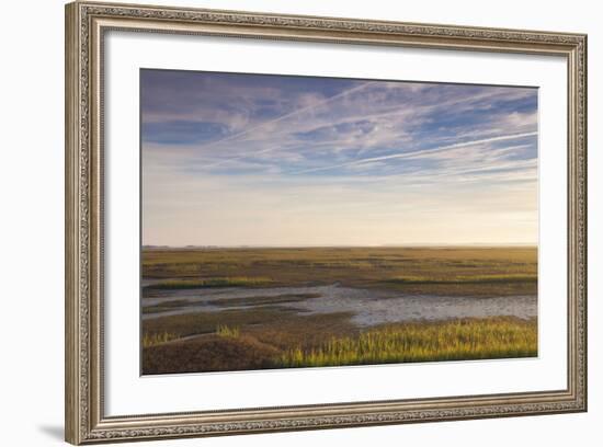 Georgia, Brunswick, Dawn View Along the Brunswick River Marshes-Walter Bibikow-Framed Photographic Print