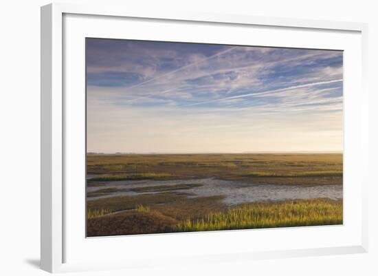 Georgia, Brunswick, Dawn View Along the Brunswick River Marshes-Walter Bibikow-Framed Photographic Print