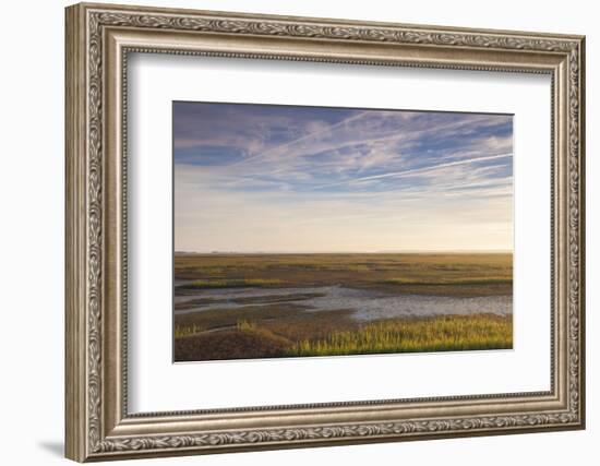 Georgia, Brunswick, Dawn View Along the Brunswick River Marshes-Walter Bibikow-Framed Photographic Print