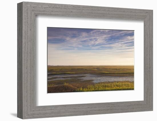 Georgia, Brunswick, Dawn View Along the Brunswick River Marshes-Walter Bibikow-Framed Photographic Print