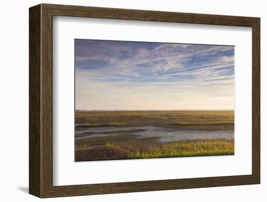 Georgia, Brunswick, Dawn View Along the Brunswick River Marshes-Walter Bibikow-Framed Photographic Print