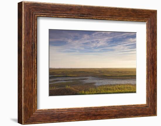 Georgia, Brunswick, Dawn View Along the Brunswick River Marshes-Walter Bibikow-Framed Photographic Print