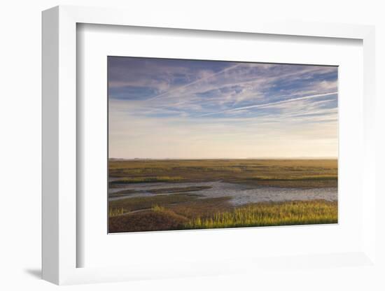 Georgia, Brunswick, Dawn View Along the Brunswick River Marshes-Walter Bibikow-Framed Photographic Print