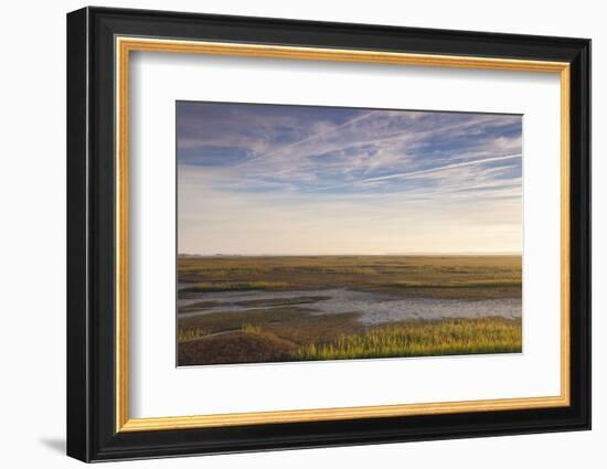 Georgia, Brunswick, Dawn View Along the Brunswick River Marshes-Walter Bibikow-Framed Photographic Print