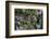 Georgia, Jekyll Island, Live Oak Trees-Walter Bibikow-Framed Photographic Print