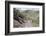 Georgia, Mtskheta, Juta. A Van Travelling Along a Dirt Road in a Valley-Alida Latham-Framed Photographic Print