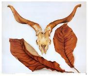 Deer's Skull with Pedernal-Georgia O'Keeffe-Art Print