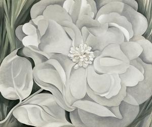 The White Calico Flower, c.1931