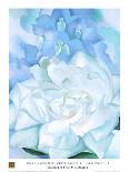 White Rose W/ Lakspur No.2-Georgia O'Keeffe-Mounted Art Print