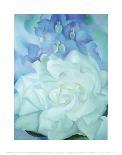 White Rose with Larkspur-Georgia O'Keeffe-Art Print