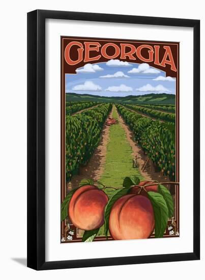 Georgia - Peach Orchard Scene-Lantern Press-Framed Art Print