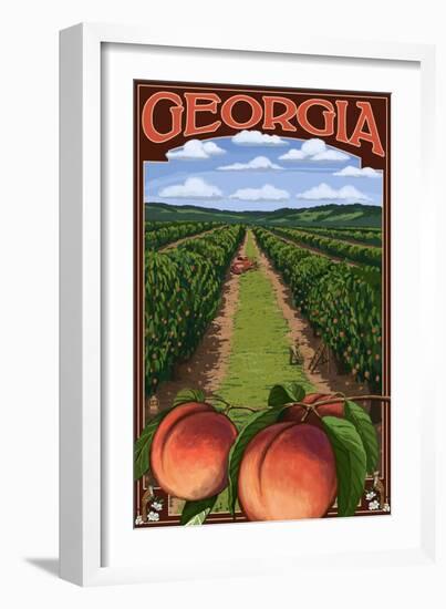 Georgia - Peach Orchard Scene-Lantern Press-Framed Art Print