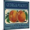 Georgia Peaches-null-Mounted Giclee Print